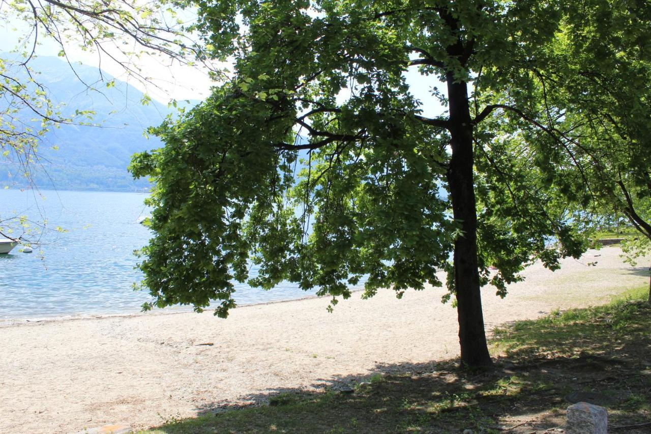 Appartamento Con Terrazza A Due Minuti Dal Lago Minusio Exterior foto